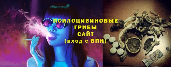 прущий лед Абаза
